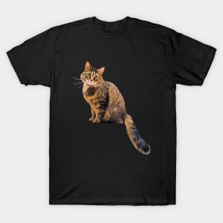 Kitty Sitting Pretty T-Shirt